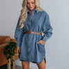 Button Up Collared Neck Long Sleeve Denim Dress