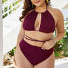 Plus Size Cutout Tied Backless Bikini Set